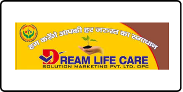 Dream Life Care Solutions Logo